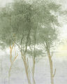 Image Not Available